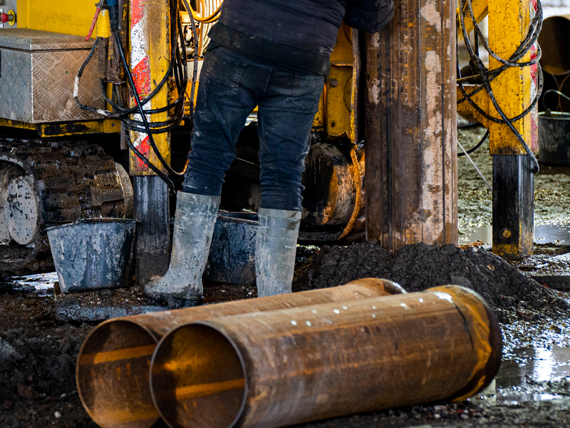 Trompbuizen-Heipalen-Meever-Pipes